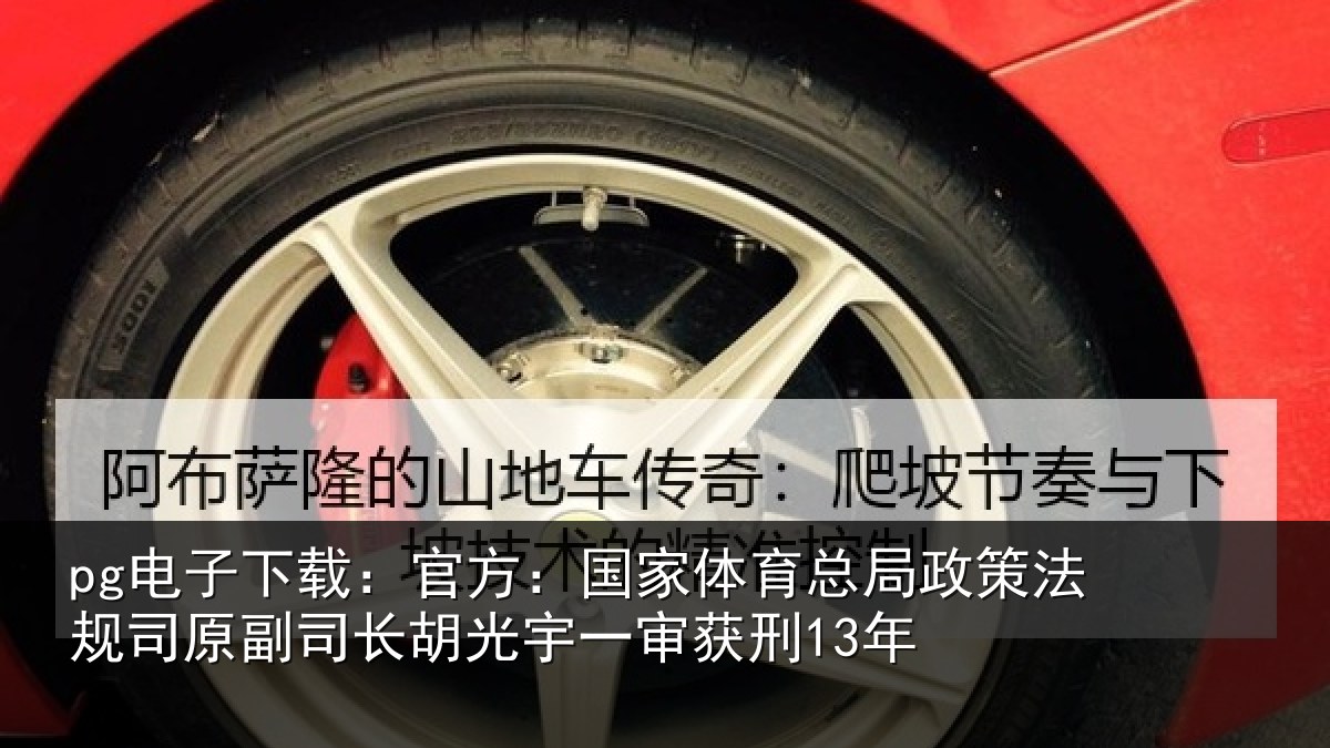 pg电子下载:官方:国家相关情况司原副司长胡光宇一审获刑13年