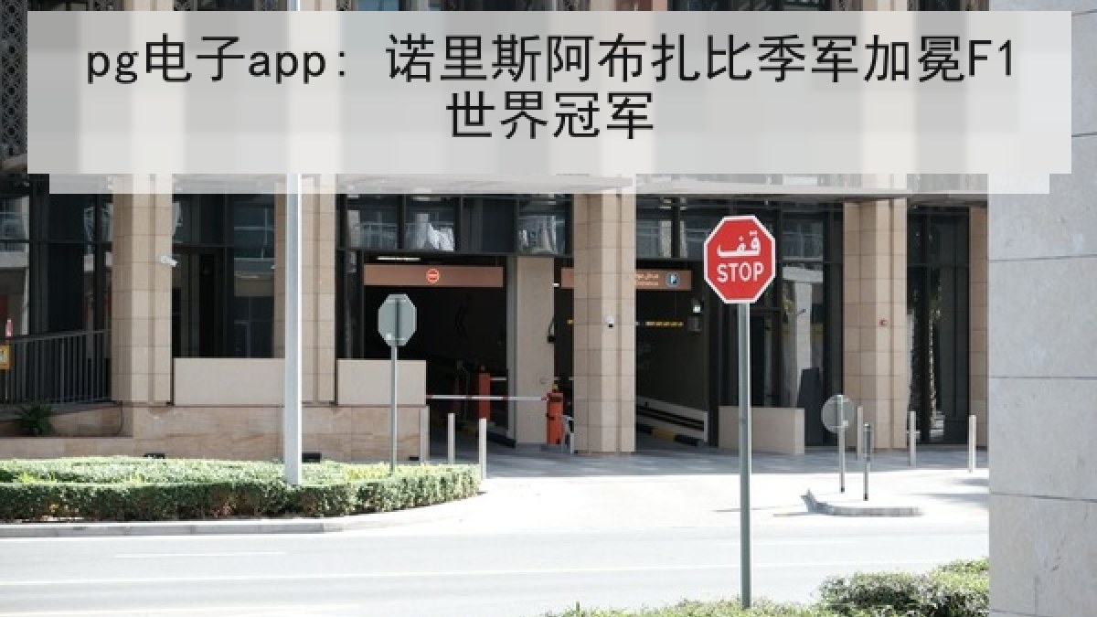 pg电子app: 诺里斯阿布扎比季军加冕F1世界冠军 pg电子app: 诺里斯阿布扎比季军加冕F1世界冠军