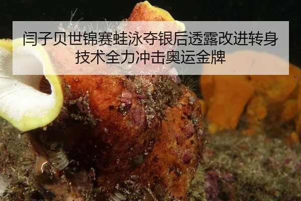 闫子贝世锦赛蛙泳夺银后透露改进转身技术全力冲击奥运金牌